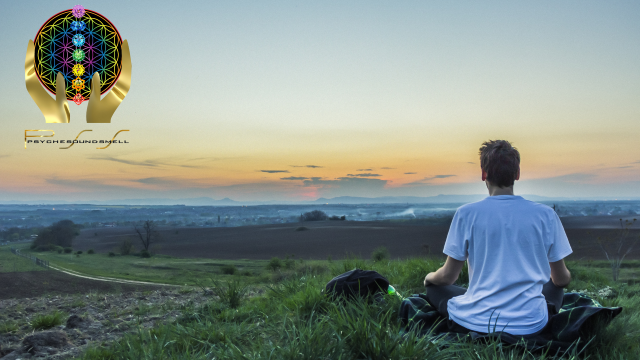 Person sitting on the grass starring in to the vast scenery with the PSS Wellness Studio Logo